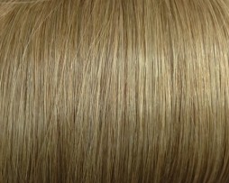 Color 10 Dark Blonde