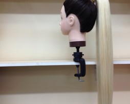 H/H Ponytail 01