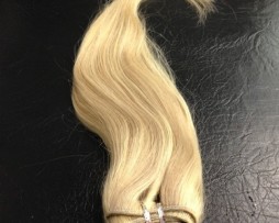 WEFT Chinese Human Hair