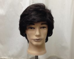 Synthetic Men Wigs 01