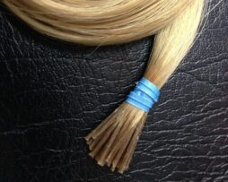 Single Human Hair 100% REMY