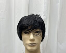 SYNTHETIC MEN WIGS 09