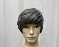 SYNTHETIC MEN WIGS 22